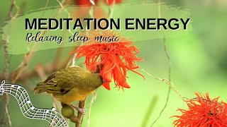 Healing Music, Meditation Energy, Spa Music, Sleep, Zen, Study, Stress Relief Music