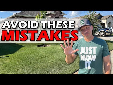 Avoid These 5 MISTAKES In Your BERMUDA Lawn | Bermuda Lawn Tips