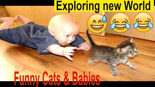 Baby and Cats Playing Together | funny video by Blank Namer 160 views 4 years ago 3 minutes, 18 seconds