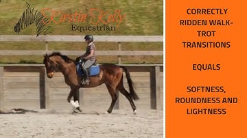How to Improve your walk trot transitions with Kirstin Kelly.