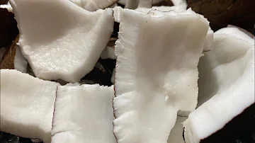 Como conservar o coco seco fechado?