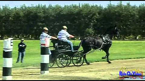 10M Alyson Harris Training Single Horse Marathon a...