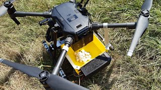 DRONES Pluriel Services - TRICHOGRAMMES : dispersion sur un champ de maïs.