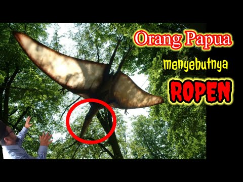 Video: Apakah pohon palem ada di sekitar dinosaurus?