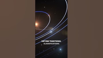 First Visit of interstellar alien object OUMMUAMUA