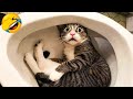 Try not to laugh  funniest cats and dogs 2023  part 5