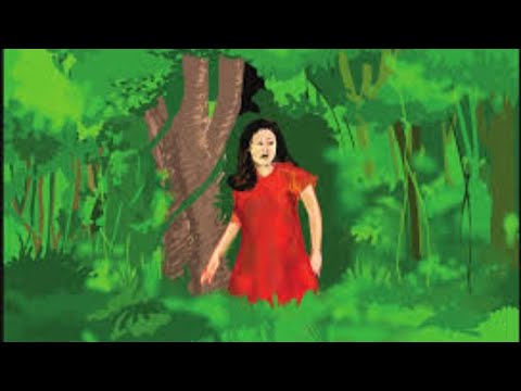 The Jungle Air Crash by Juliane Koepcke - Interview Questions - YouTube
