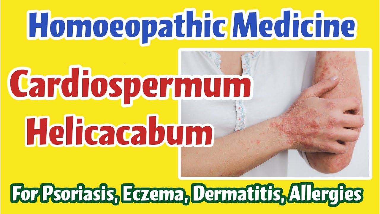Pommade SBL Cardiospermum (Helicacabum) 2 X 25g - Naturelle Pour Eczéma Et Démangeaisons - SPF 5 - Neuf Scellé
