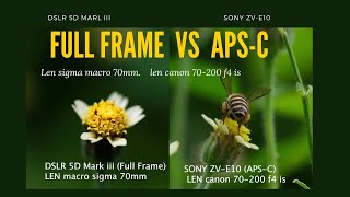 Full Frame (Dslr 5D mark iii) VS APS-C(sony ZV-E10) close-up