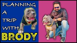 Planning a trip with My Dog Brody  Family Vlogs | Harpreet SDC