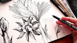 Just drawing botanical illustration 🌿No music, no talking