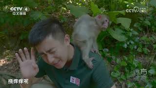 《远方的家》 20230804 山河锦绣看中国 蔚蓝生命海|CCTV中文国际