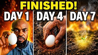 Cukup kubur satu butir telur selama tujuh hari dan musuhmu akan tamat selamanya! #spiritual #usa ...
