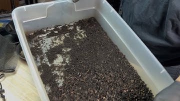 How to Know Castings in a Bin Are Ready to Sift 