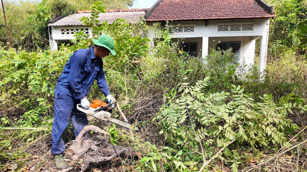 WHAT CAUSED This House to Be ABANDONED for So Many Years — A SATISFYING REVIVAL