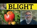  blight meaning  blighted examples  blight definition  gre vocabulary