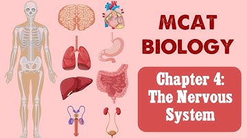 MCAT Biology: Chapter 4 - The Nervous System (1/1)