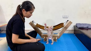 Baby monkey Abi was very happy when her mother made her a new hammock