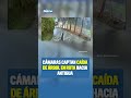 🚨 CÁMARAS CAPTAN CAÍDA DE ÁRBOL EN RUTA HACIA ANTIGUA 🚨