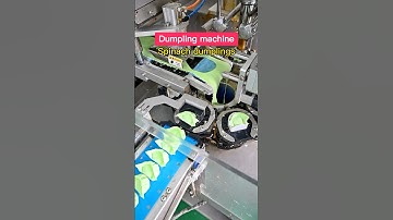 Automatic dumpling machine #Automaticdumplingmachine #Dumplingmachine #Smartdumplingmachine