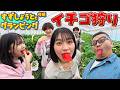 巨大いちご勝負で全員大はしゃぎｗｗおーちゃん念願のいちご狩りが最高♡ひまわりしょうと グランピングでお泊まり第２弾：後編himawari-CH