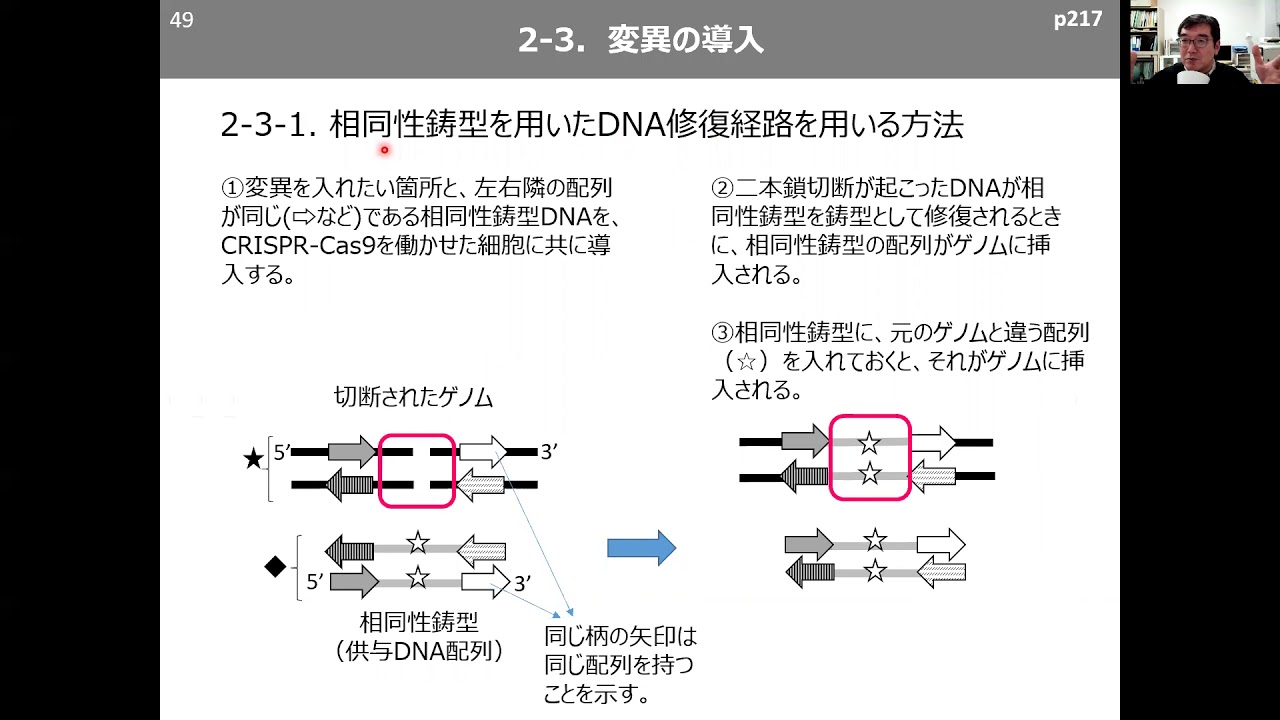 20201225基礎生命科学第13回後半(33分)
