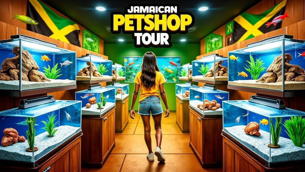 hobby-hut-pet-shop-the-most-expensive-petshop-in-jamaica-youtube