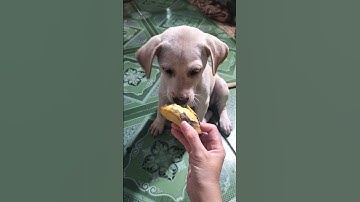 Ngon quá à #ngôntình #quality #art #laugh #lamborghini @GocPhimNgonTinh99 @A̹̔ @gags