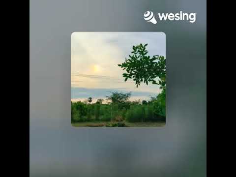 หนามชีวิต