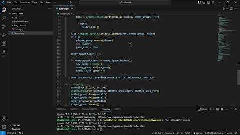 Bullet Hell Python + pygame 2023/10/08