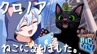 原点に戻って大暴れしたいと思います【Little Kitty, Big City】