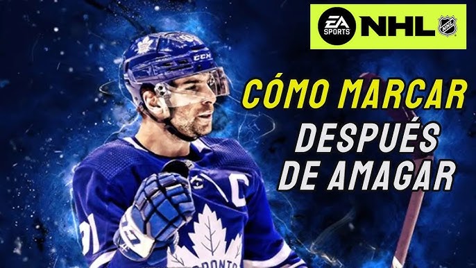 Guia básico para curtir a NHL