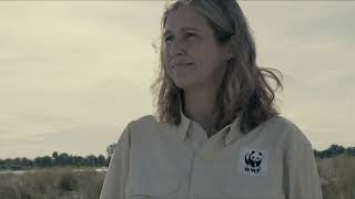 Download Lagu WWF Baltic Sea Programme - Bend the curve on biodiversity loss in the Baltic Sea MP3