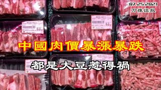 “习近平思想”研究中心 越没思想越建越多；中国人在建一个新“香港” 柬埔寨西港；中国肉价暴涨暴跌 都是大豆惹得祸（《万维读报》20210725-3 EAJJ)