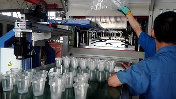 cup thermoforming machine with Robot stacker