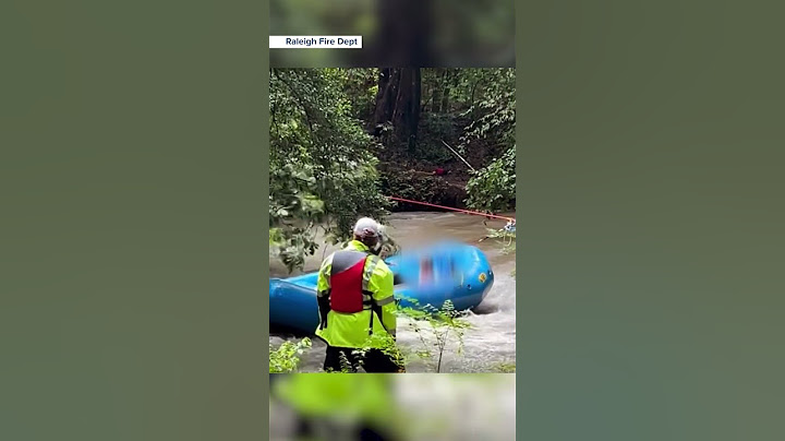 Kids rescued after getting swept up in Debby flood