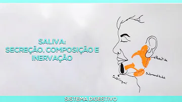 O que não é função da saliva?