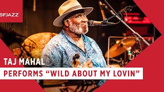 Taj Mahal - Wild About My Lovin [Excerpt] (Live at SFJAZZ)