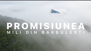 Mili din Barbulesti - PROMISIUNEA [ Official Video ] 2022
