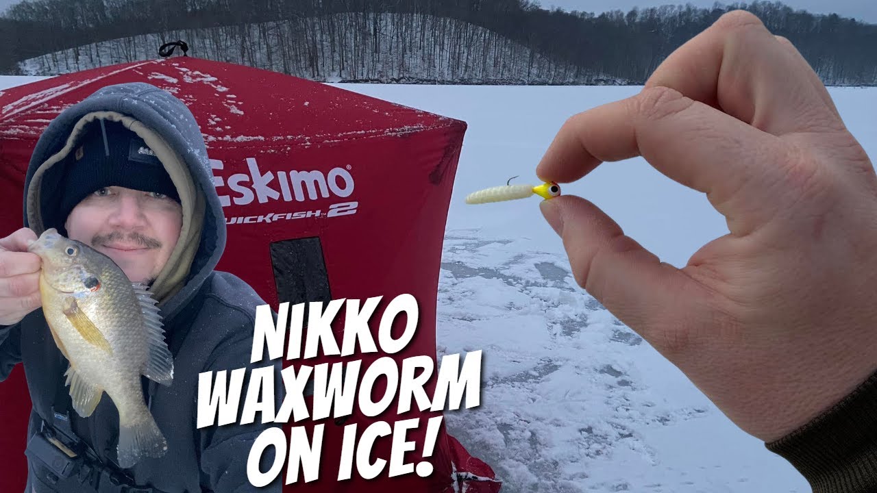 Ice Fishing in Ohio with the Nikko Waxworms! (My FIRST Fish Ohio Species of  The Year!) 