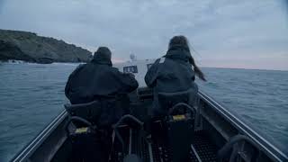 Piloting A Zodiac Milpro