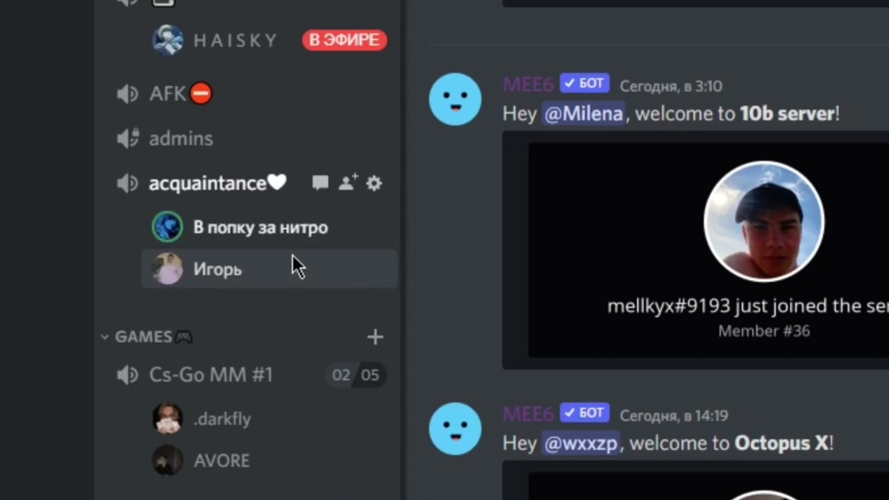 Сервер в дискорде Octopus X .