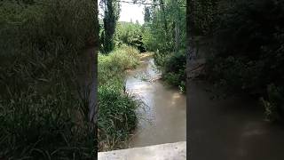 Cruzando el Río Tajuña