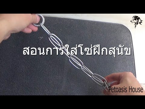 วีดีโอ: วิธีล่ามโซ่สุนัข