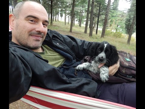 მე და ჯინოს (დვიჟენიები)