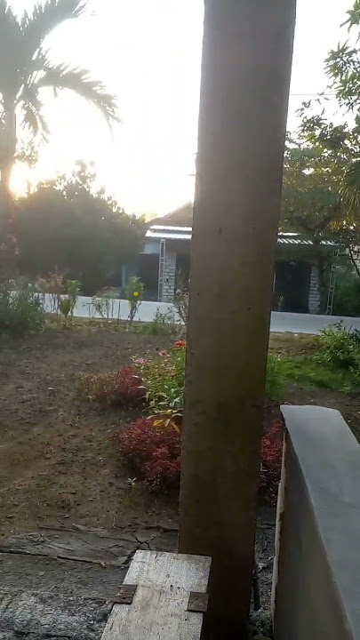 pagi2 nyruput kopi