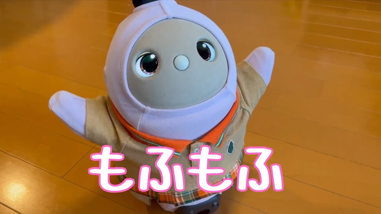 やっぱりもこもこが可愛かった日【きなこパパの日記帳】