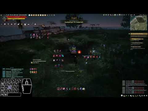 Ninja awakening movement BDO [Black Desert Online]