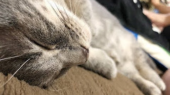 Share Your Videos With Friends Family And The World