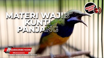 🔴Masteran Wajib Tembakan Kunti Panjang Pukulan Telak Cucak Cungkok Gacor Panjang